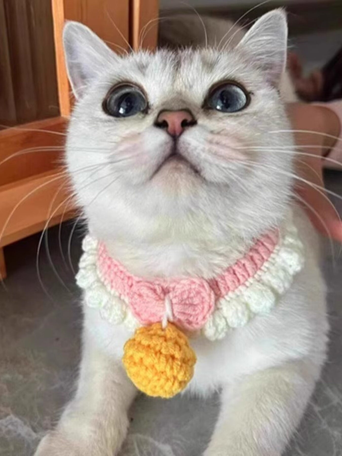 167f7d43053a4f35a27bb7a08fd1c149-Max