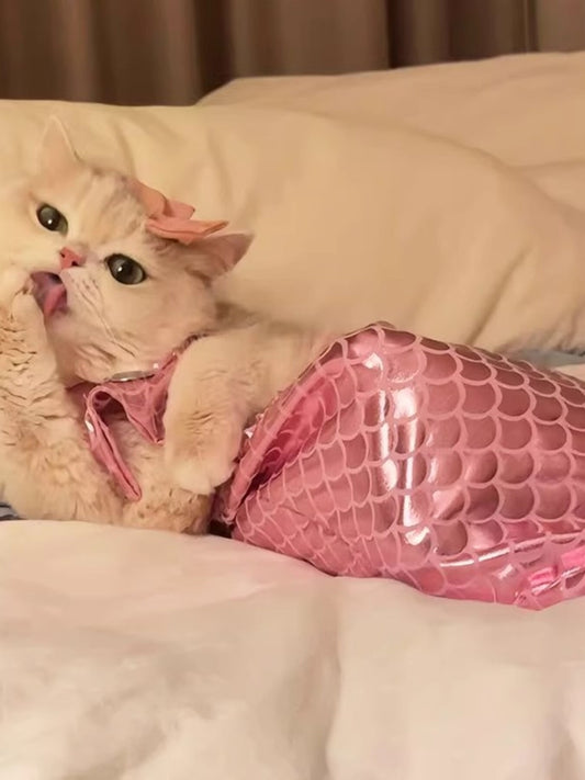 46e5763e596647a19de5dae6d0264461-Max