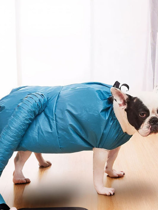 6f66456f-ec79-4894-aaf4-b457968c7d05-Max