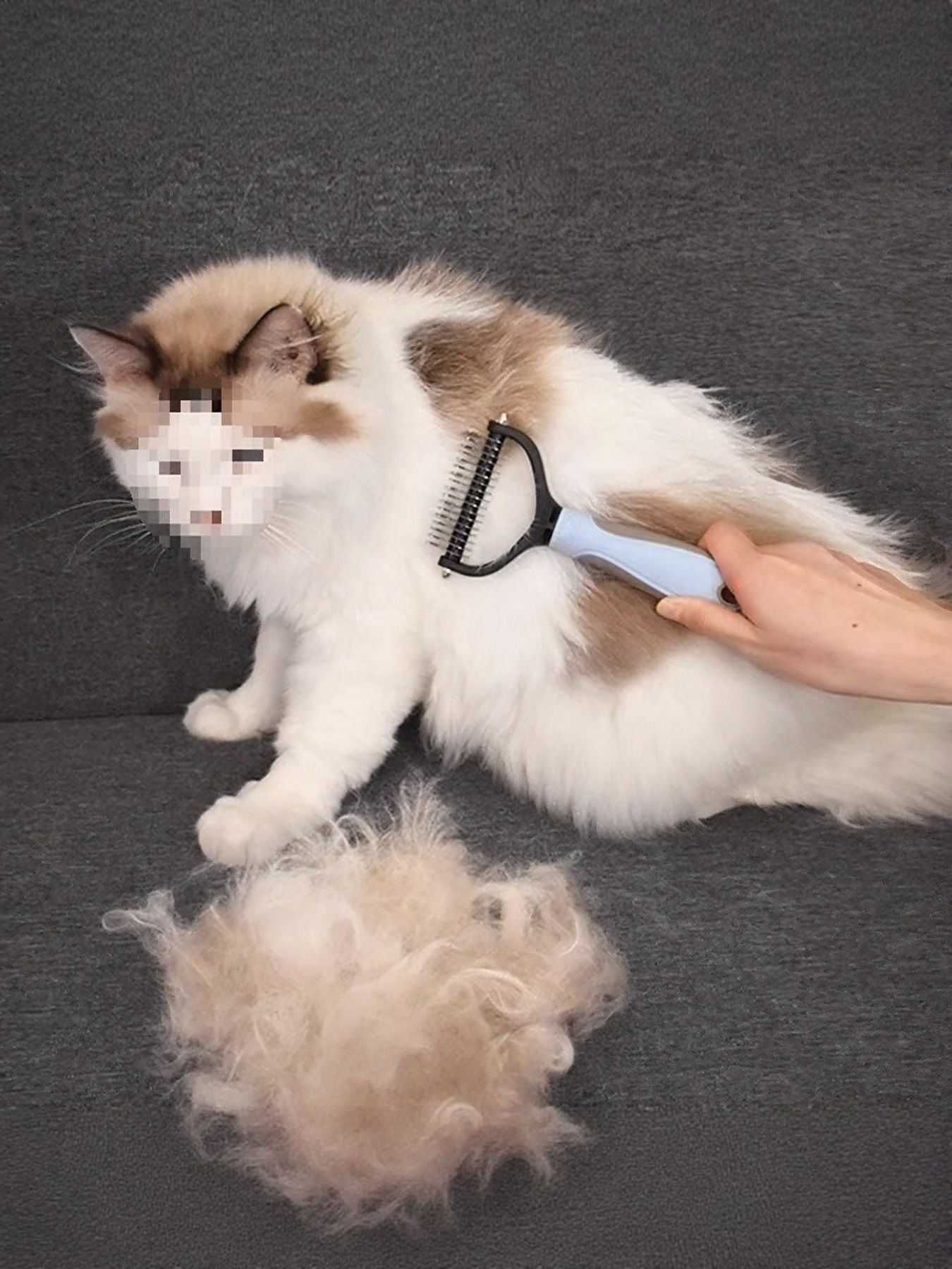 ae0c544e-b275-45b8-955f-bb39d36a6a4d-Max