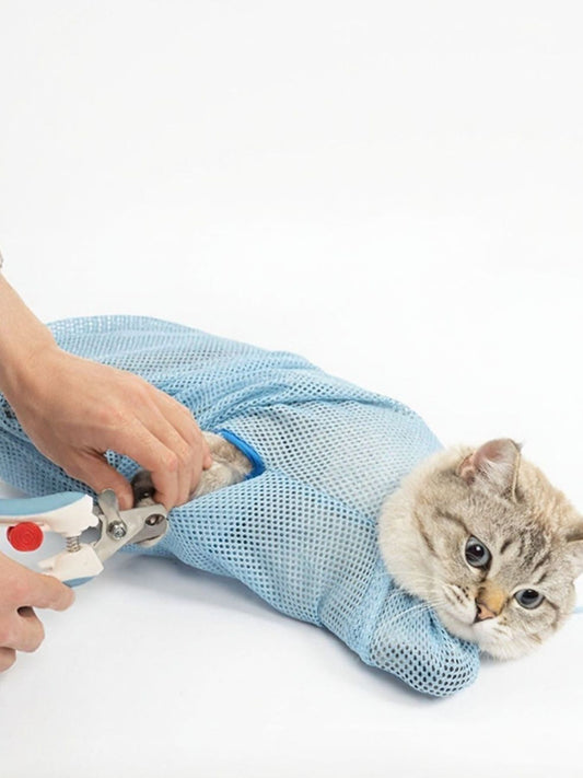 ba179993-d5cf-47c2-8008-dbe6930a5765-Max