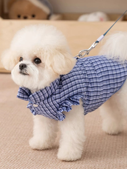 c4664868-1774-4e31-8ba4-9ea7886ea2de-Max-Origin