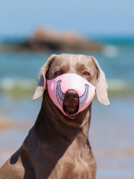 fc17f7b2-854a-400c-9423-d86f0df94844-Max