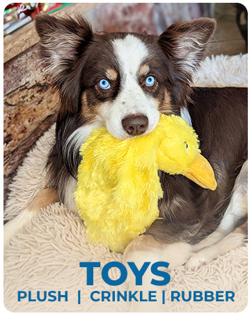 Best Pet Supplies Dog Toys For Small Medium And Large Breeds Cute No-Stuffed And Stuffed Duck With Soft Squeaky Fun For Indoor Puppies And Premium Puppies Plush No Mess Chewing And Playing