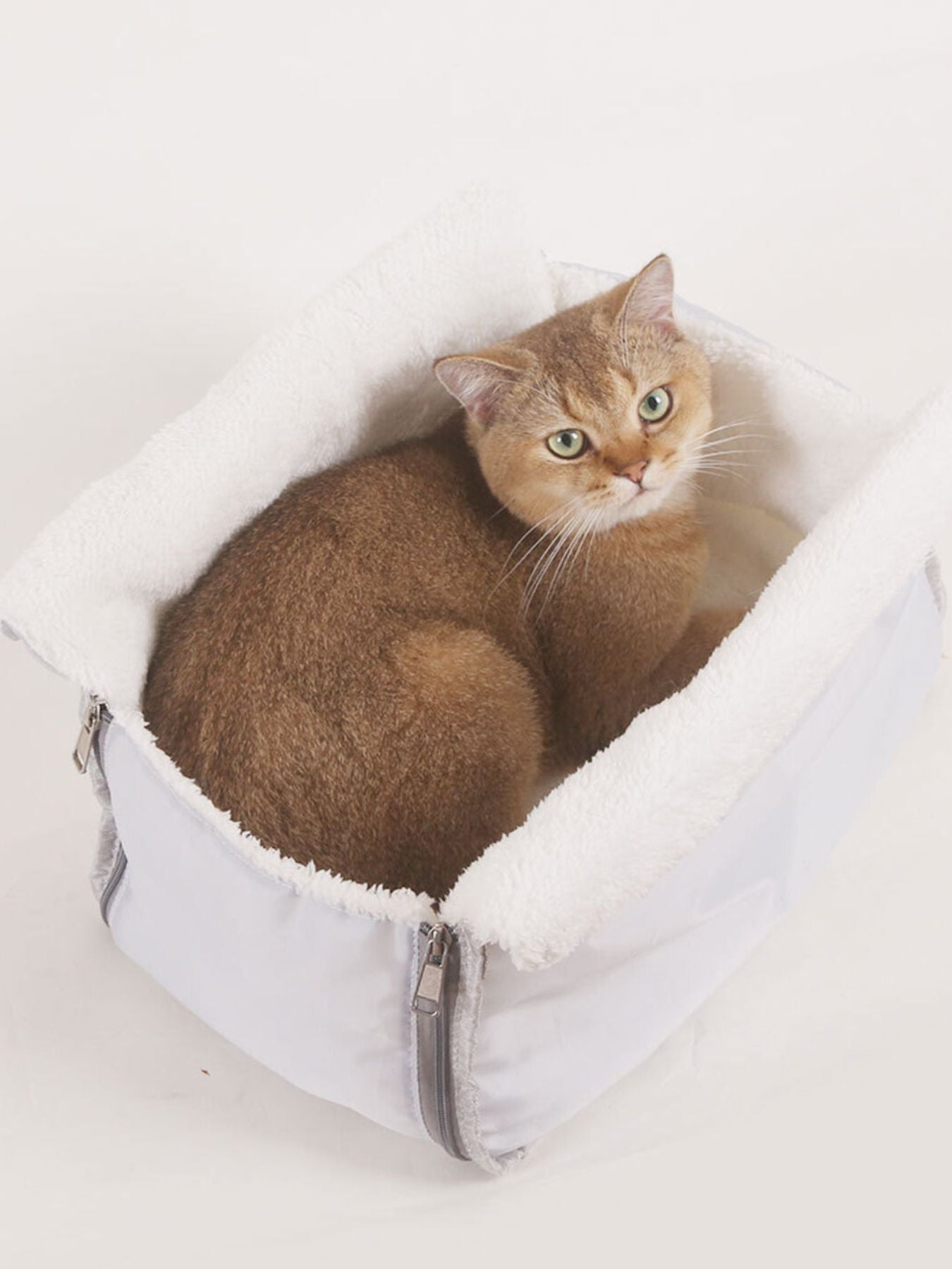 0421a2ce-16e9-48f4-b5d4-4276e4cdd41e-Max