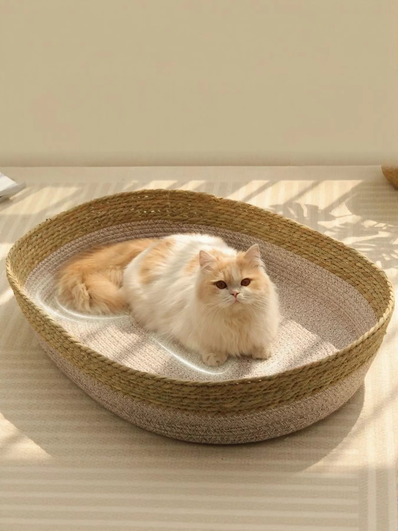 051c9f94-0714-41ac-abf8-1ef68da0322f-Max-Origin