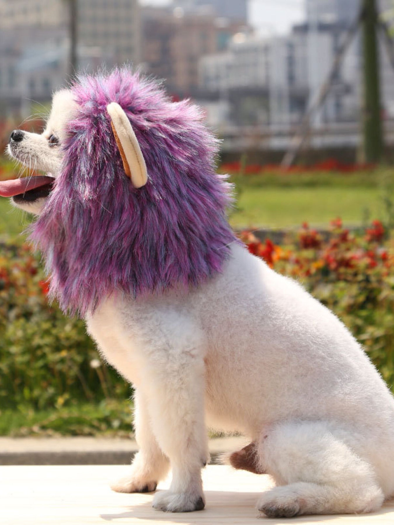 0577cb7ccf354eaab0c5b8724a031074-Max