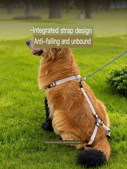 0bf130d9-ab51-4414-ac17-d35e269e9bb1-Max-Origin