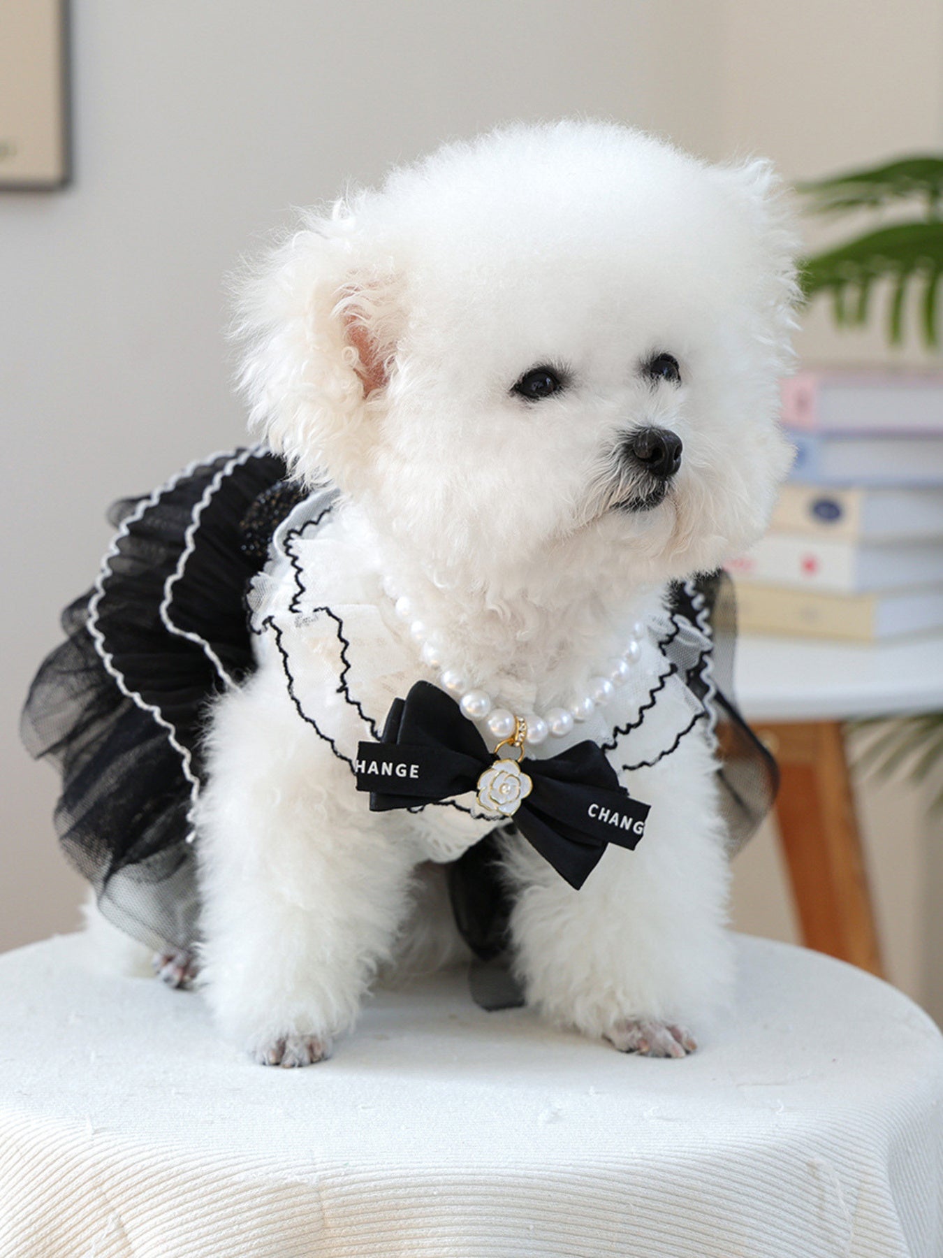 11e2e76b23d643629a1149dc3676df7e-Max