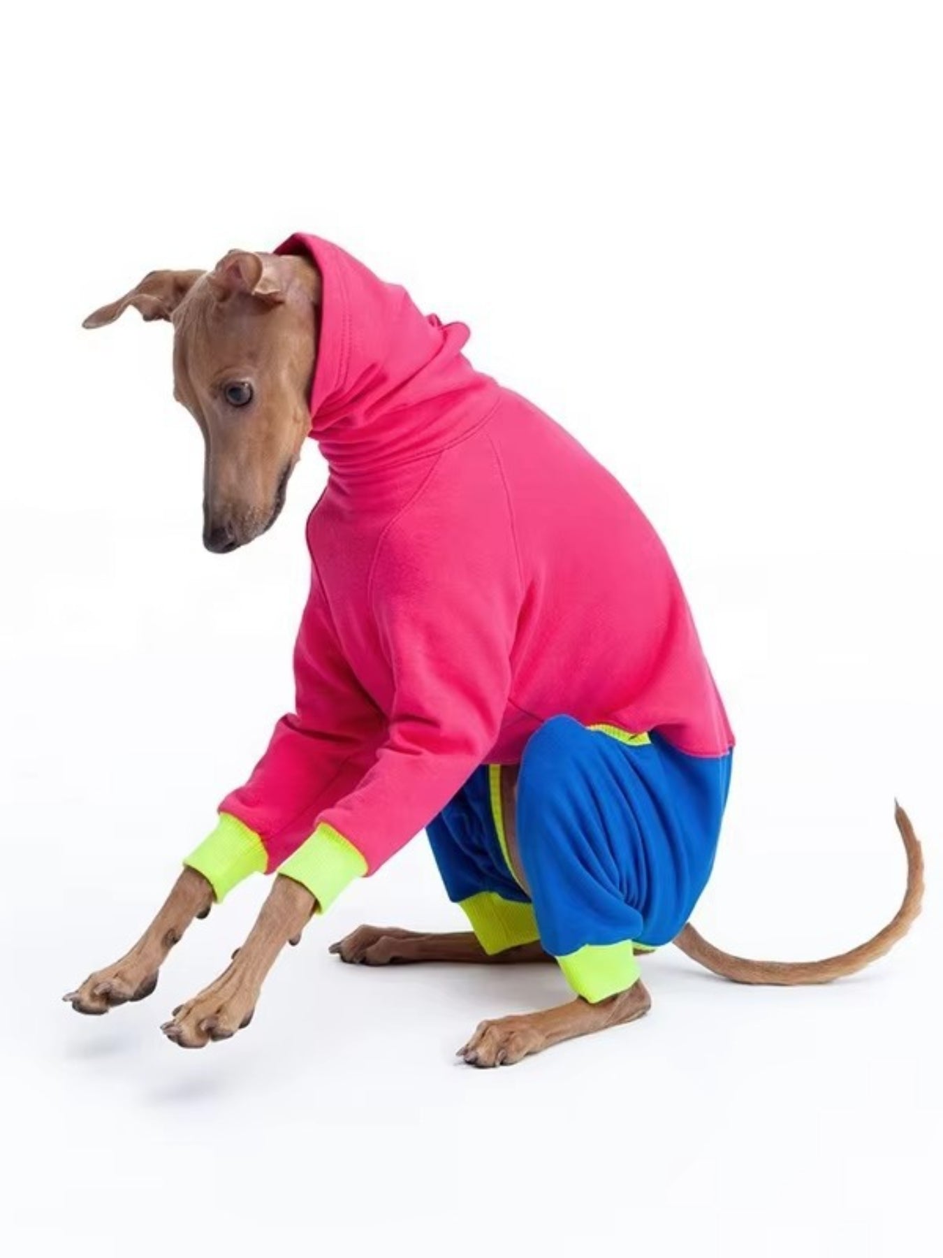 121e2905-bbed-4c56-8add-7f133dd72e21-Max