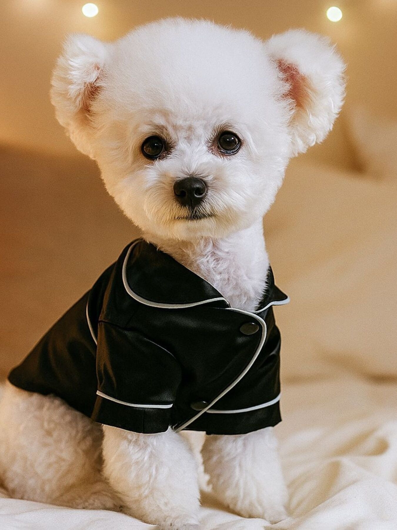 14c69d714a514d96baf0a91294949926-Max