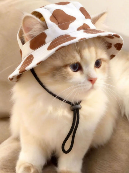 17687493-7dac-41cd-b168-45291b3f5f34-Max