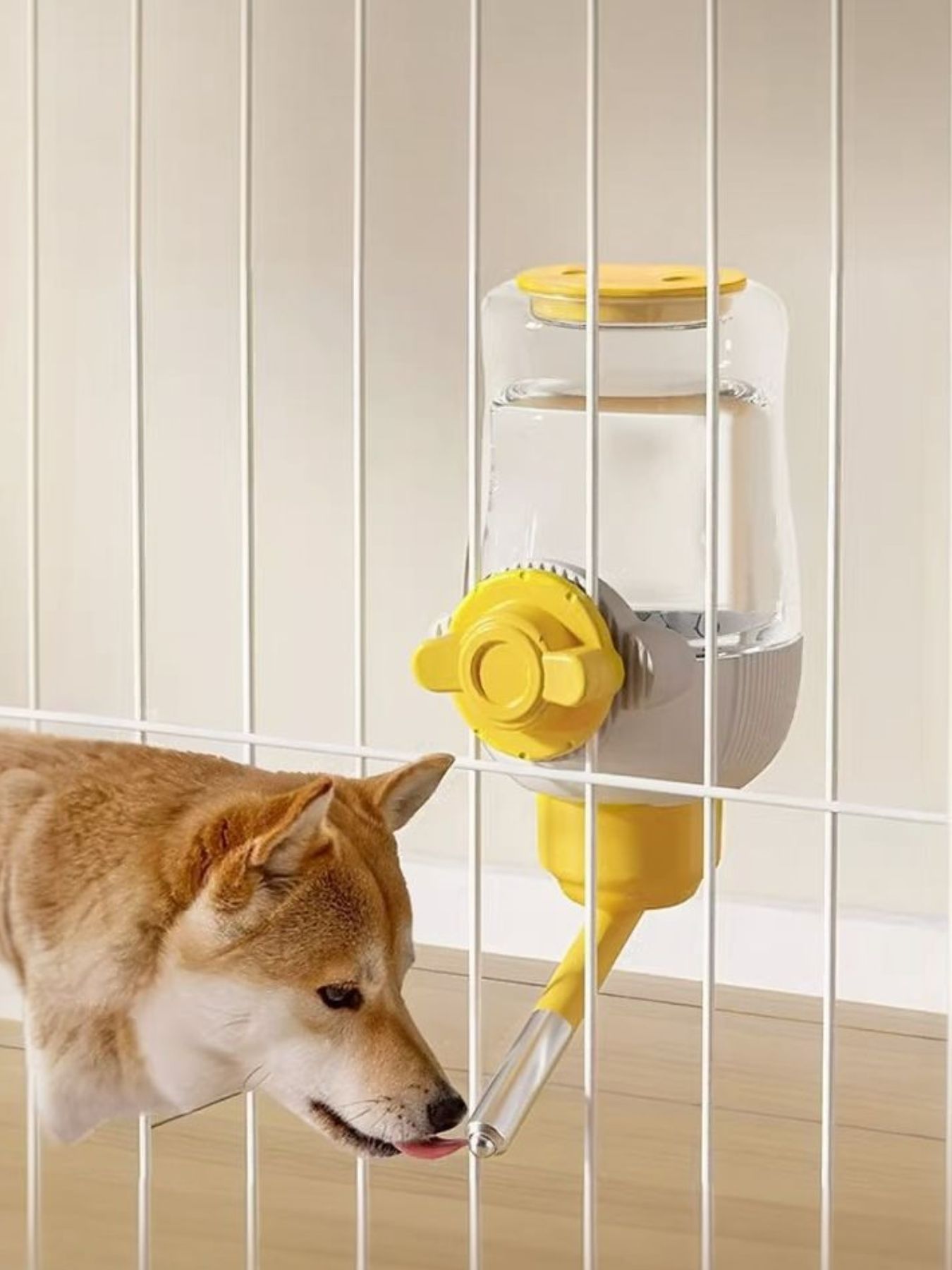 1a6cafe3-1507-496b-976b-cbc5d058a4e0-Max