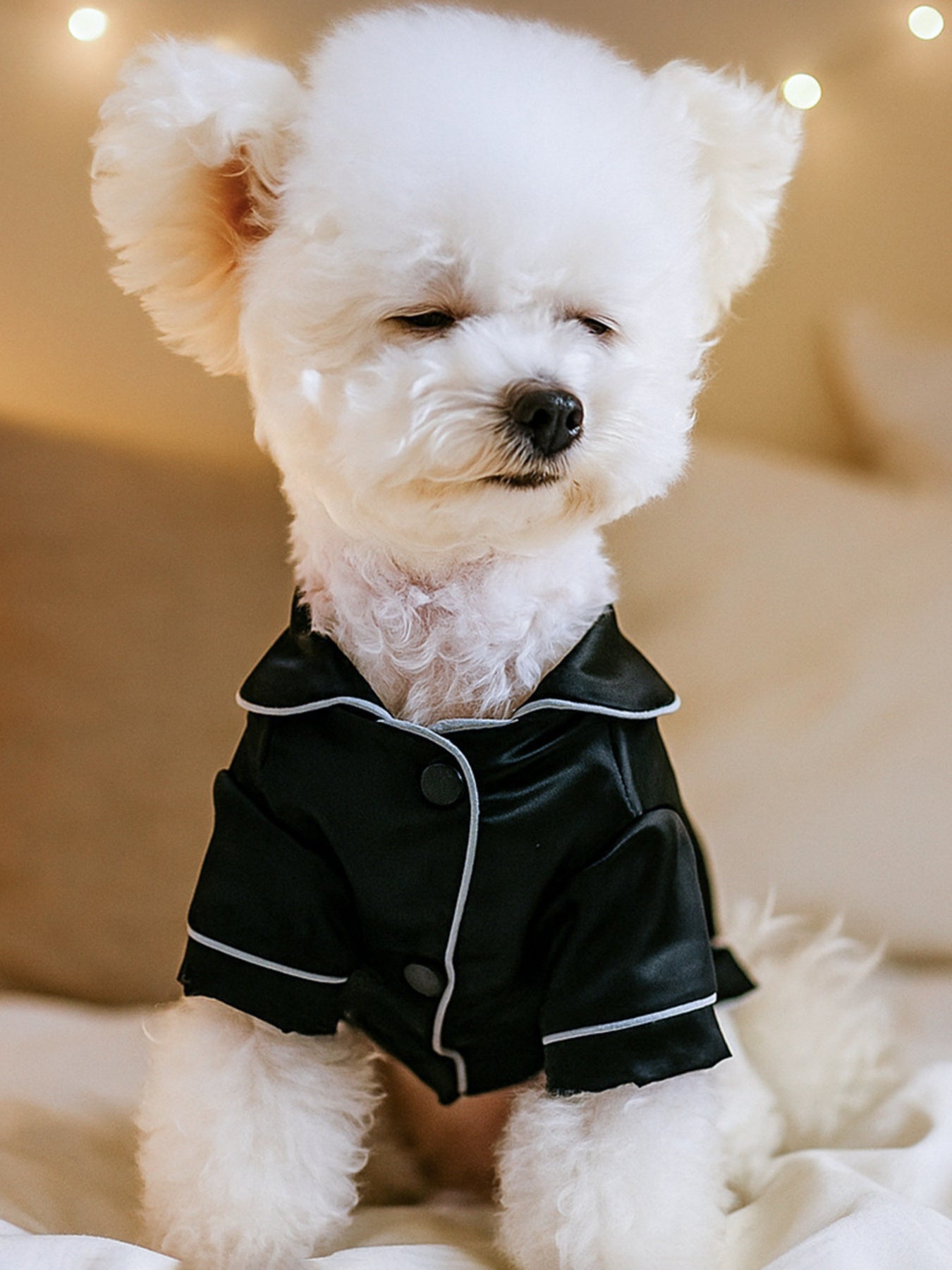 1b3ea7b67251478f952da6830d66be6d-Max