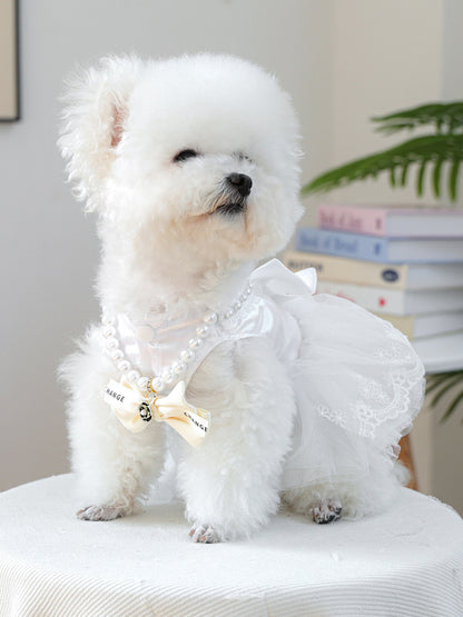 1c0f19b27a5445068e94bb2ff450c5de-Max