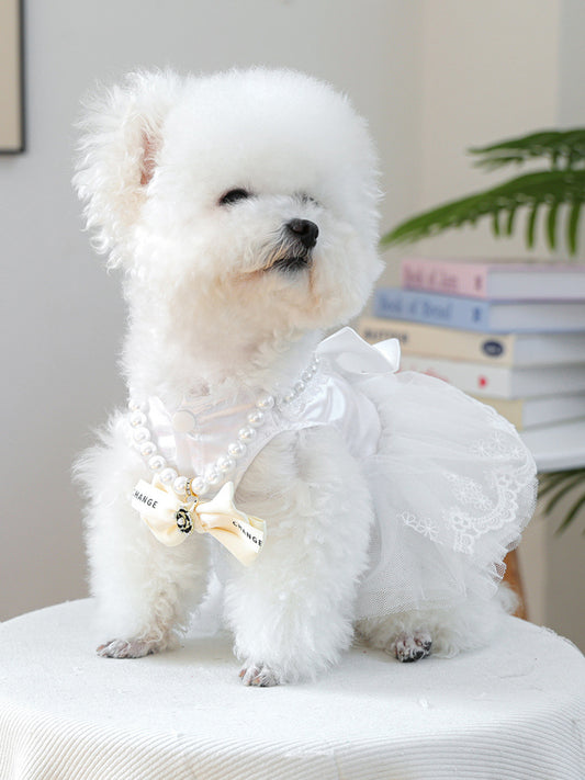 1c0f19b27a5445068e94bb2ff450c5de-Max