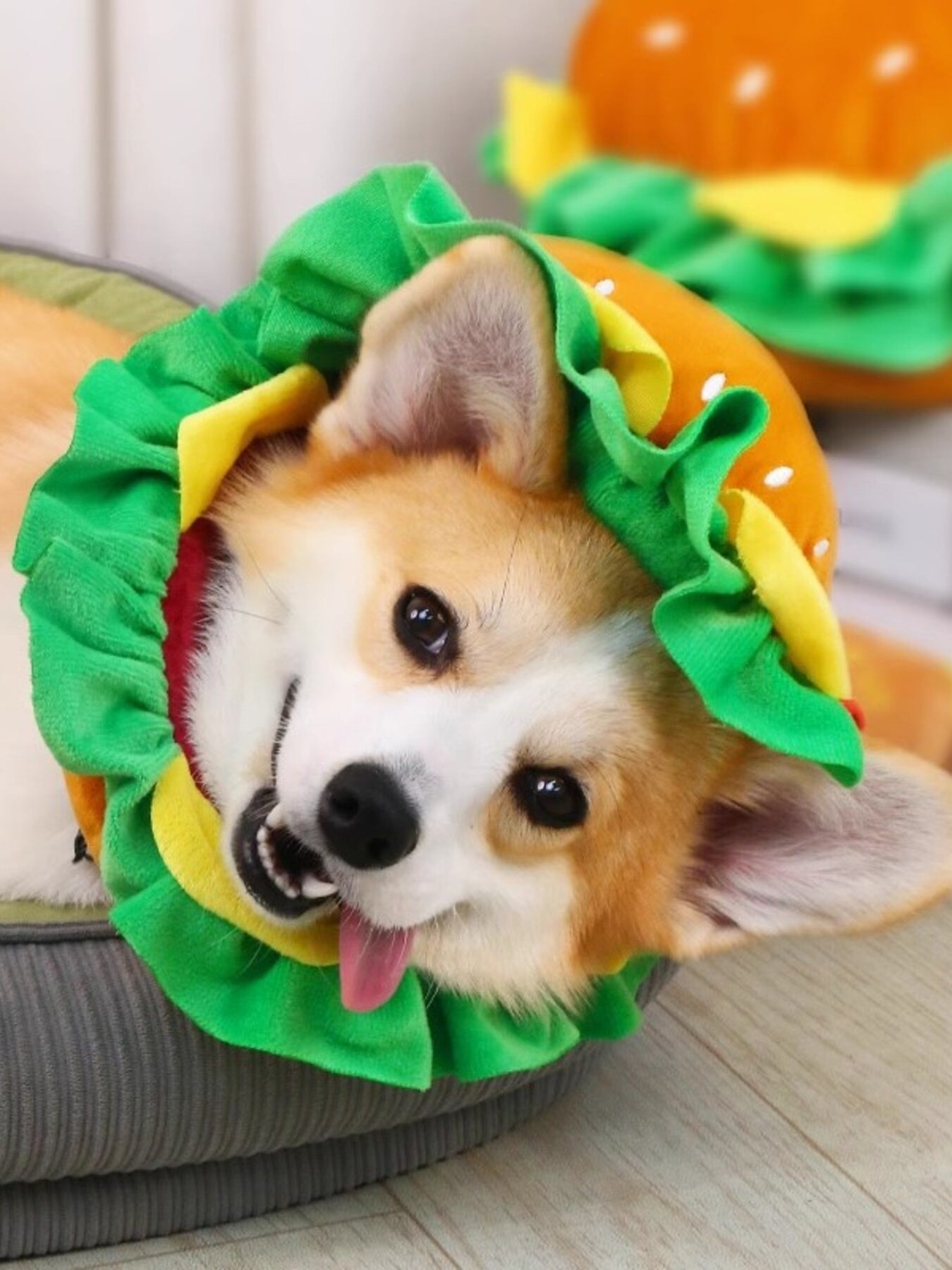 1c6a1be8788544cdb0b312338c723029-Max