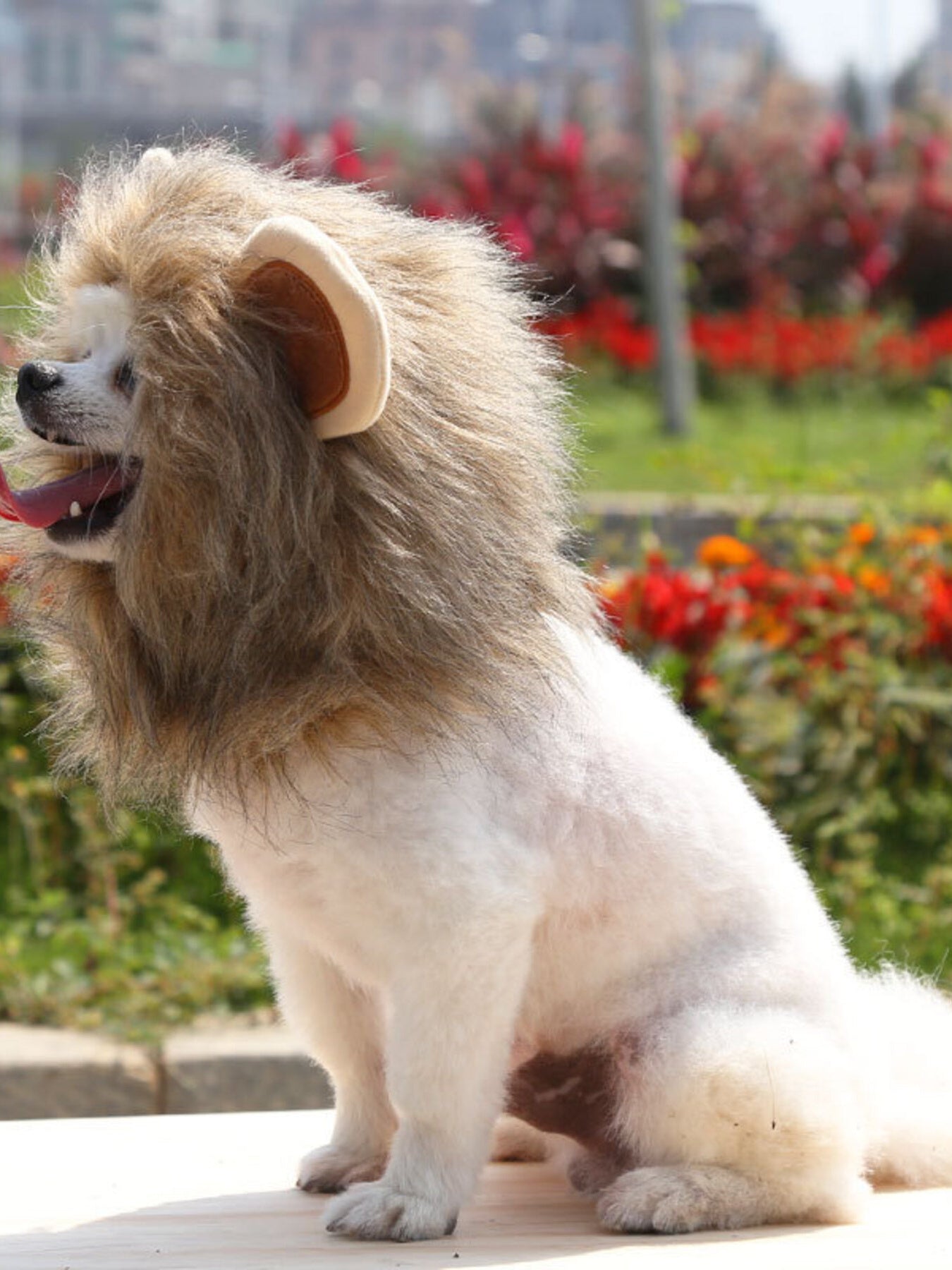 1ceaf14ccfe04462bb18d0fc8050ff86-Max