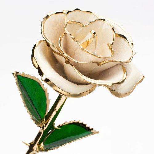 24K Gold-plated Rose Flower With A Gift Box Valentine's Day Gift by JeansDenim.Store