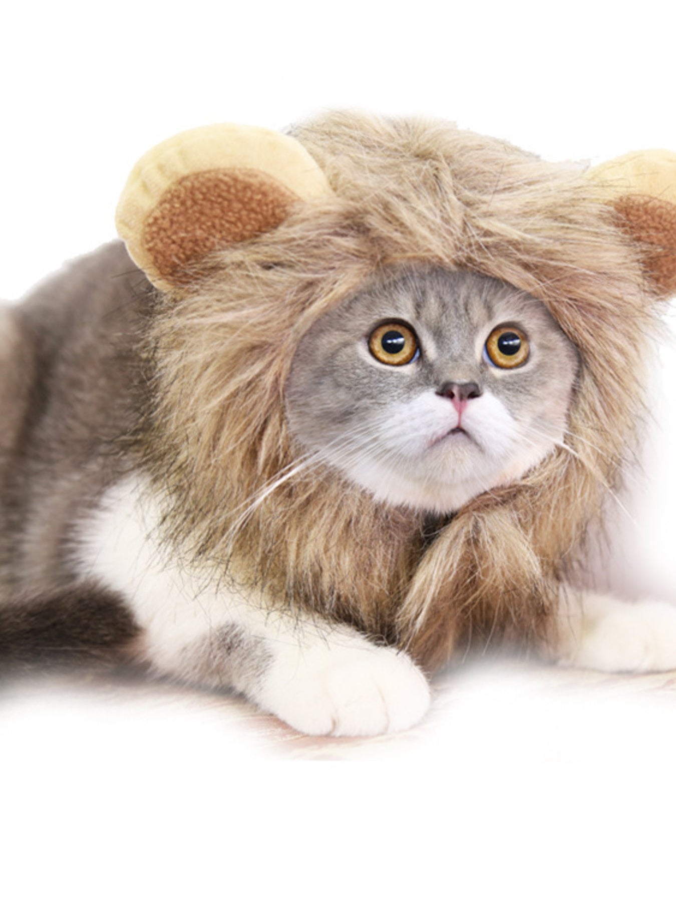 2304d5788055420ebece7c689bc85cde-Max