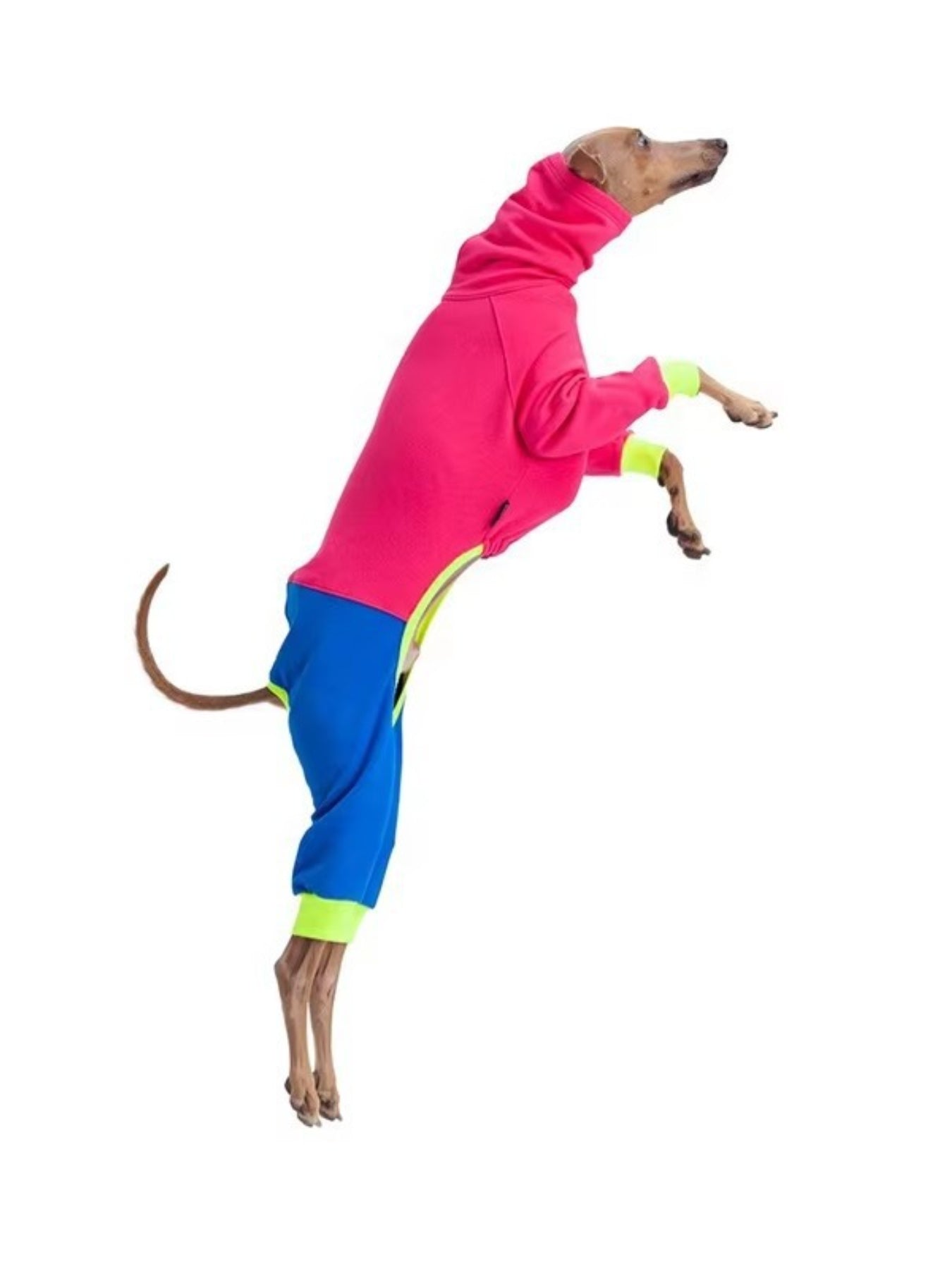 280e3d0e-dfb2-46b3-a45c-af180b6abeee-Max