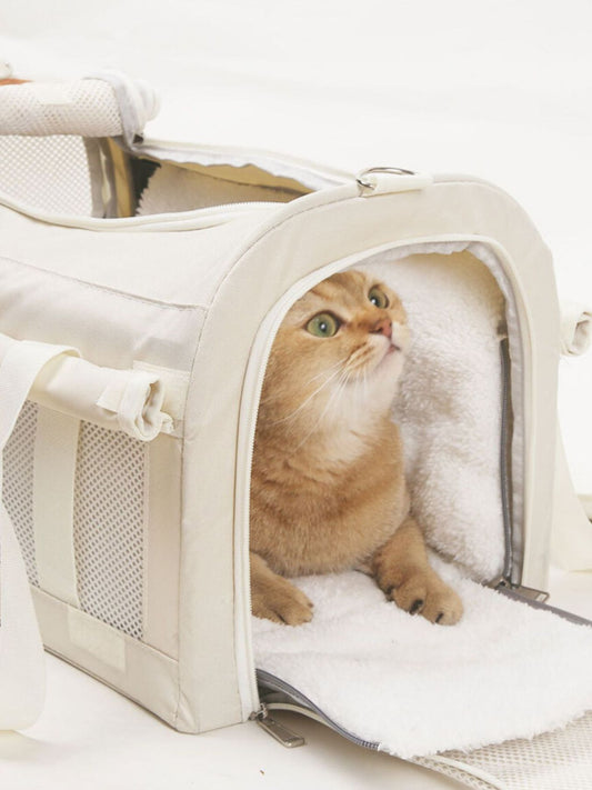 29049ef9-f029-4906-adb3-38ba08b0a0df-Max