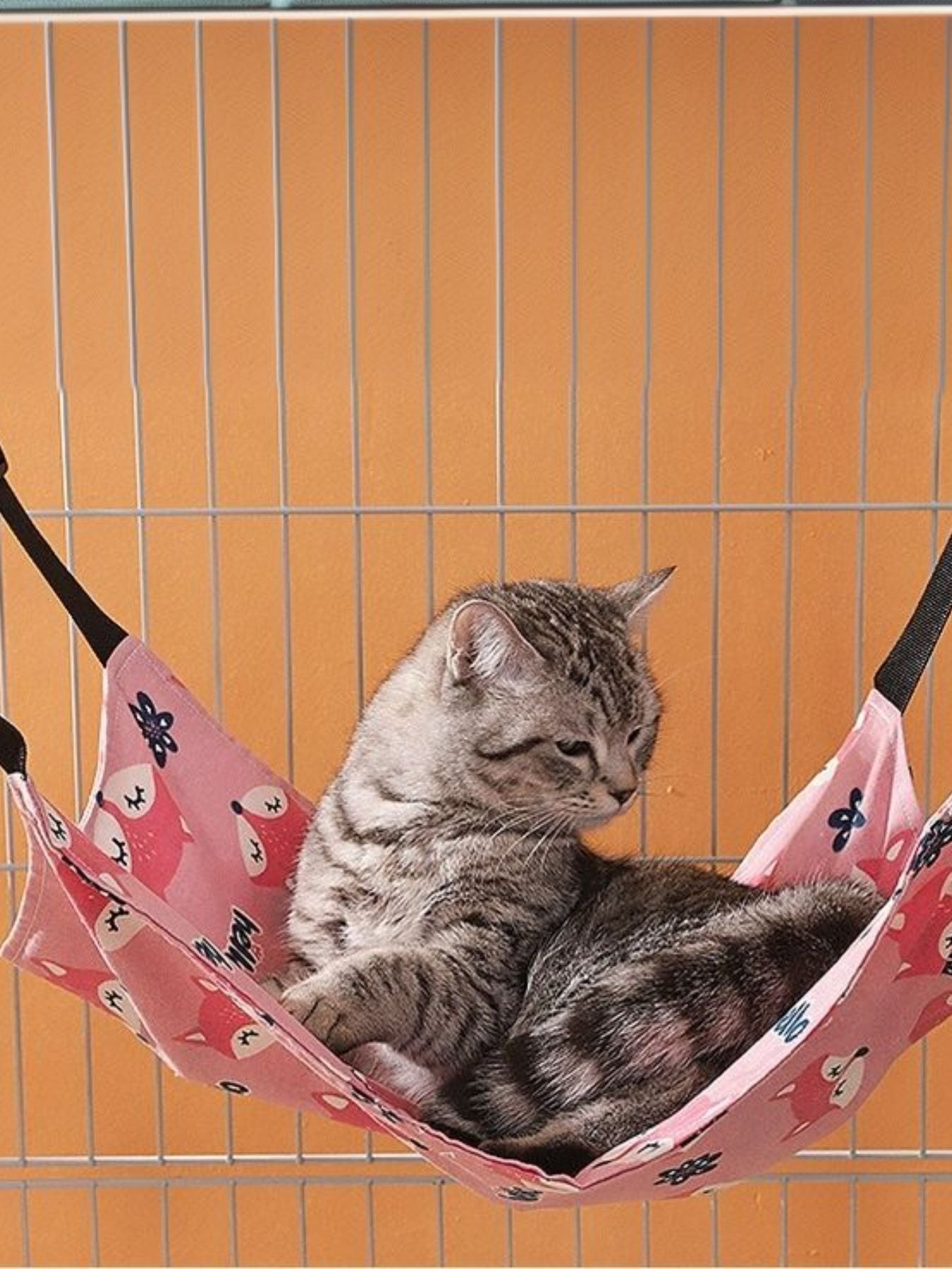 2a61c96f-0cff-4381-bcf0-e569d2a27874-Max