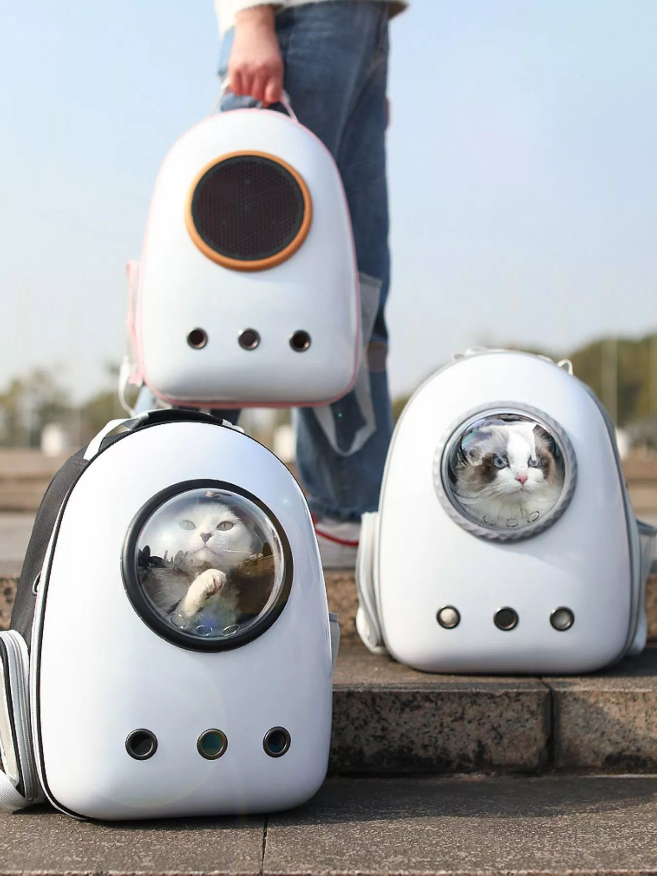 2b1e210f-a3f7-4883-a222-526e3518fd6f-Max-Origin