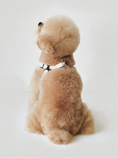 2b625bba8ba34b4d928dd3ebddba6504-Max