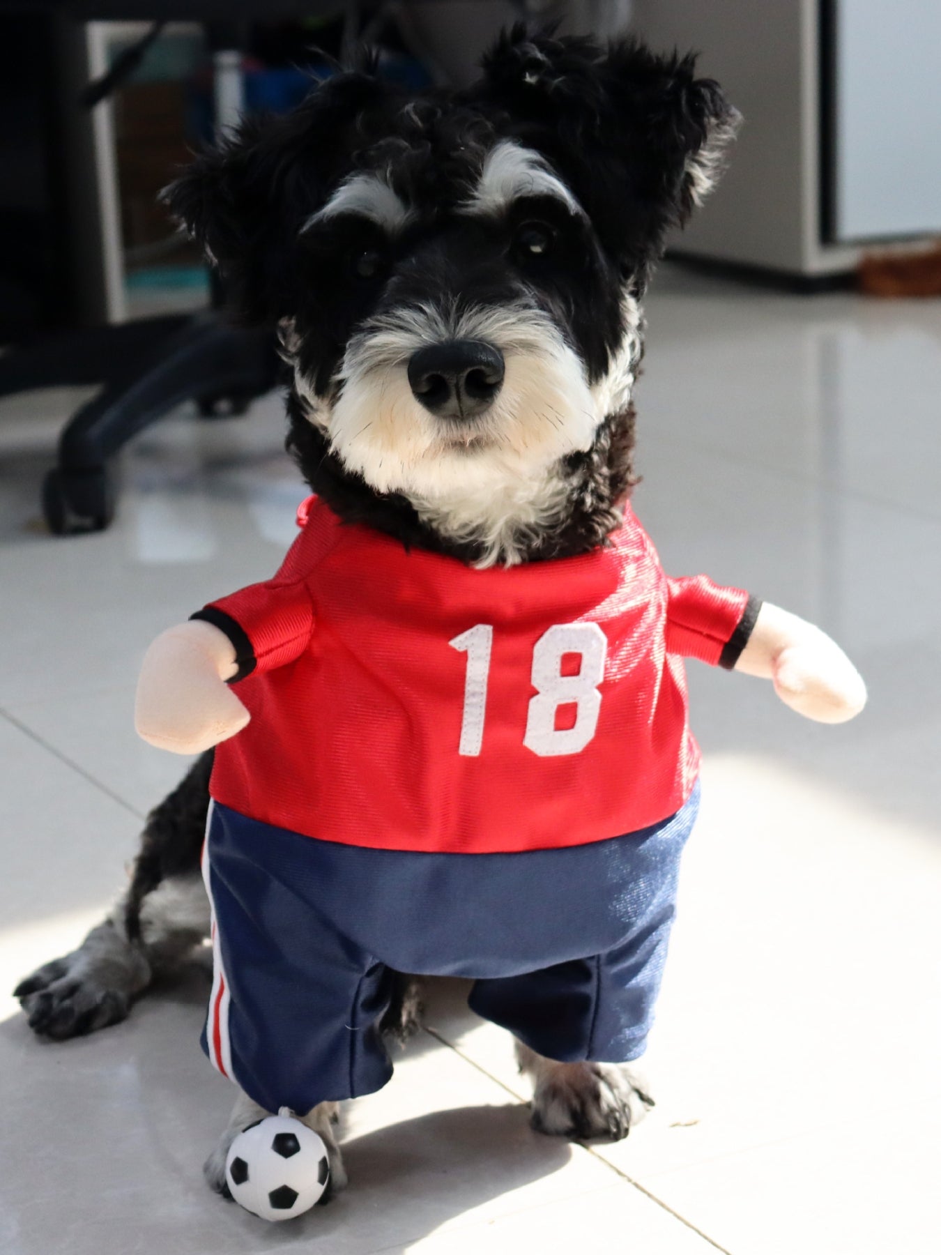 2bb92aad-313d-4f1e-a398-47c6cf947230-Max