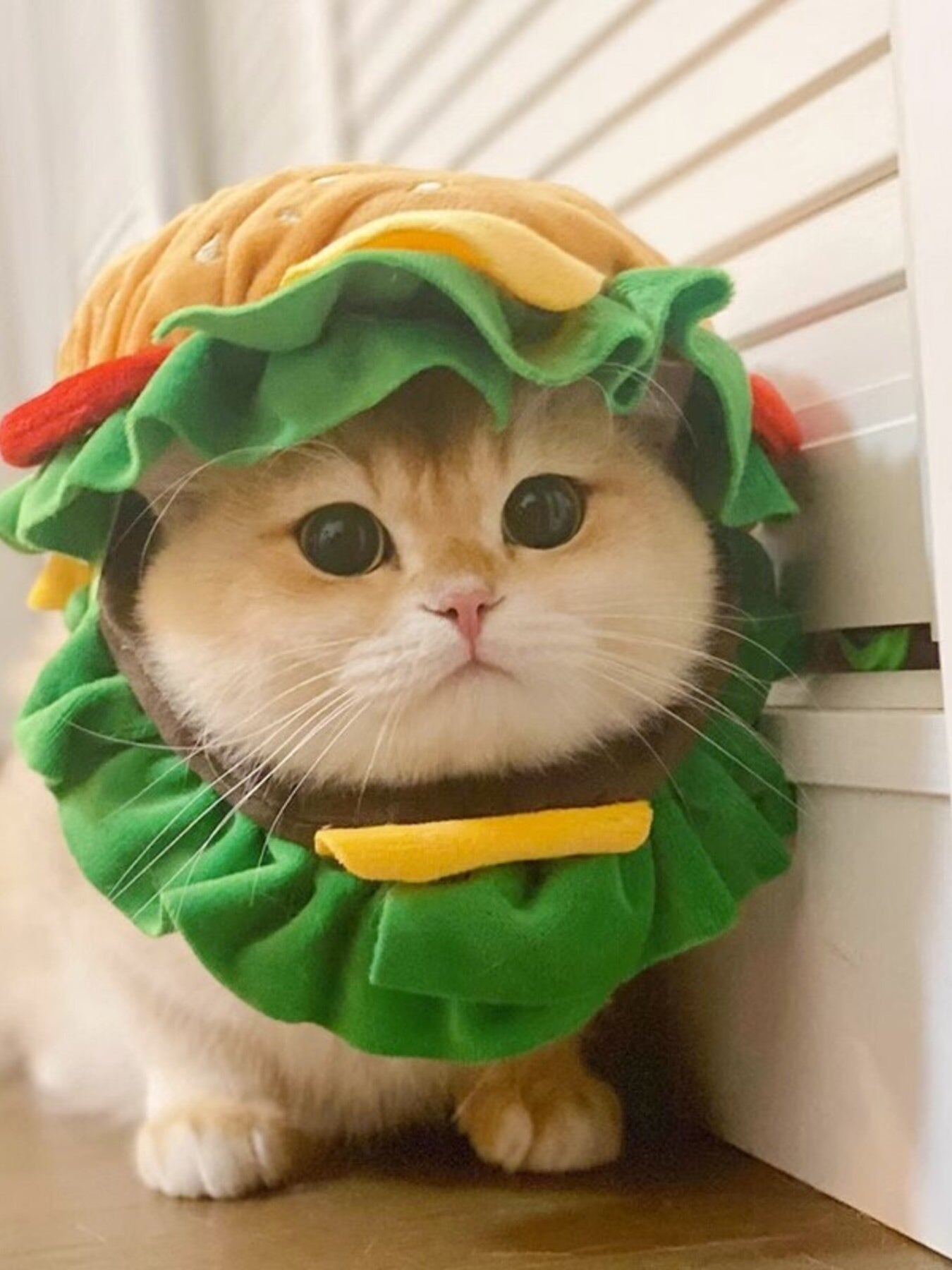 2c54681e49de43f0b912a3ffa75836ec-Max