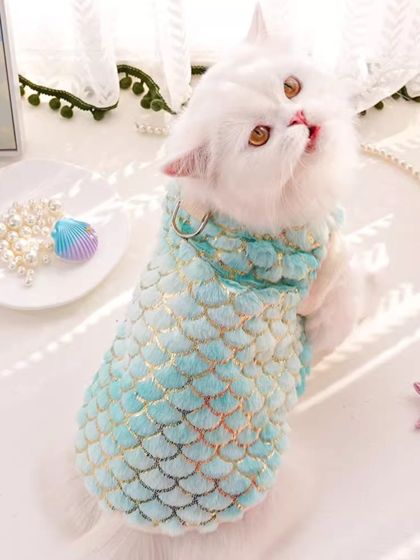 2f936f77e4664d2d933f6ff67a0d49b6-Max