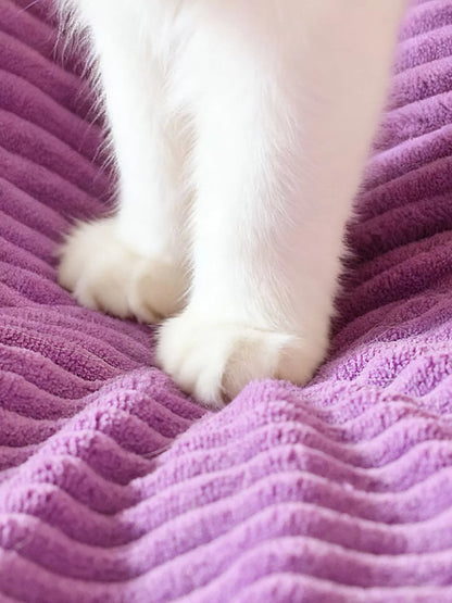 2fa7b5ec-2e3e-4f38-b561-063443391164-Max-Origin