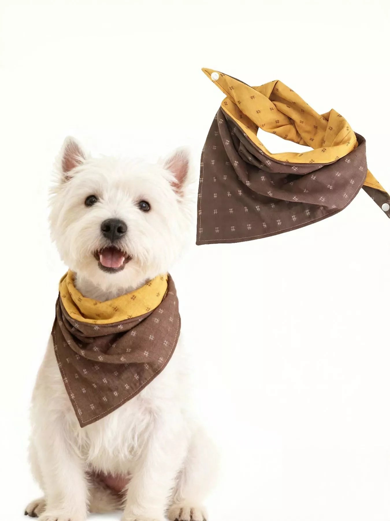 2ff1c86e-dcdc-4b63-af70-e77f2c8f1f73-Max-Origin