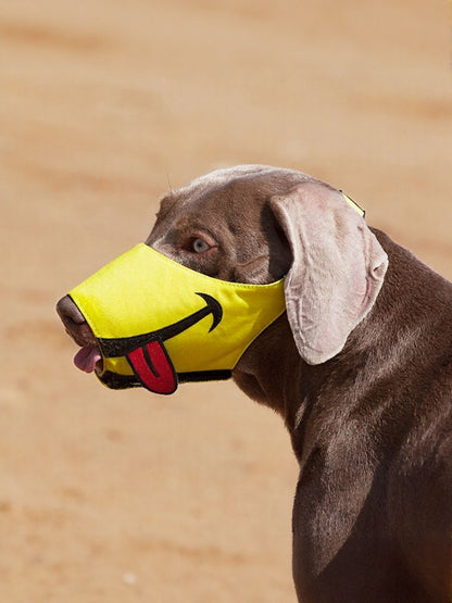 331c6fd0-258e-4a15-bff8-e529beea4367-Max