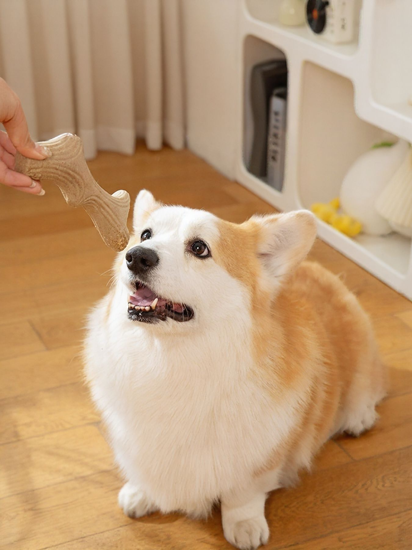 364424d4-dd93-4111-8d7b-47f6c5058b1c-Max