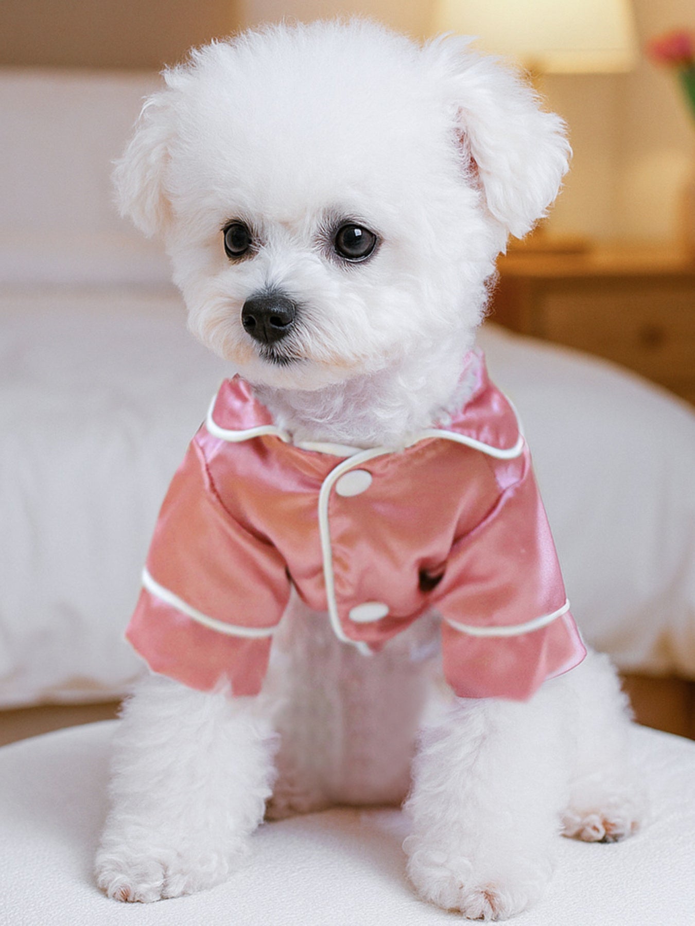 383a388492494764bc1edab838515e97-Max