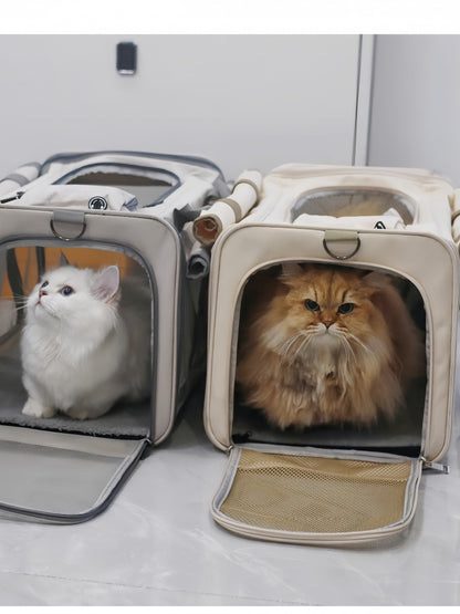 39e7eb0fb65d40b8a9f48df7015e5dc5-Max