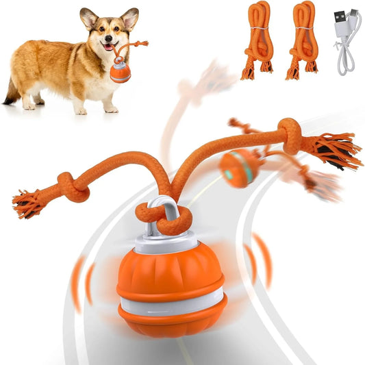 Pet Ball For Dogs Interactive Toys Motion Activate Rolling Ball For Puppy Small Dogs Automatic Moving Toy USB Rechargeable Toy Pet Products