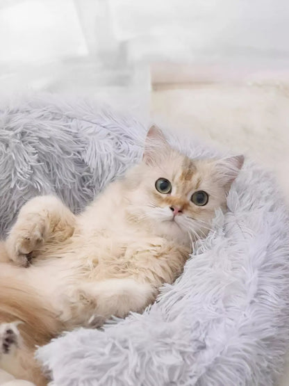 4387c06d-0a28-4015-9886-cd0de8509806-Max-Origin