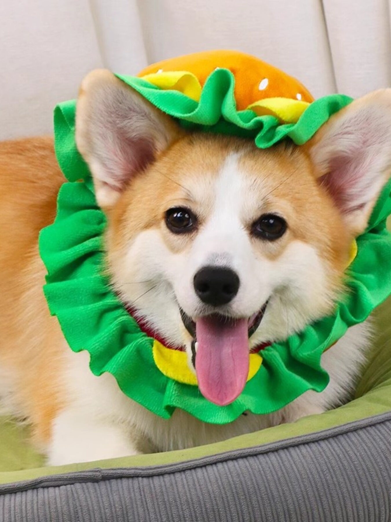 447ccbaff84d4a85891bf840344b3674-Max