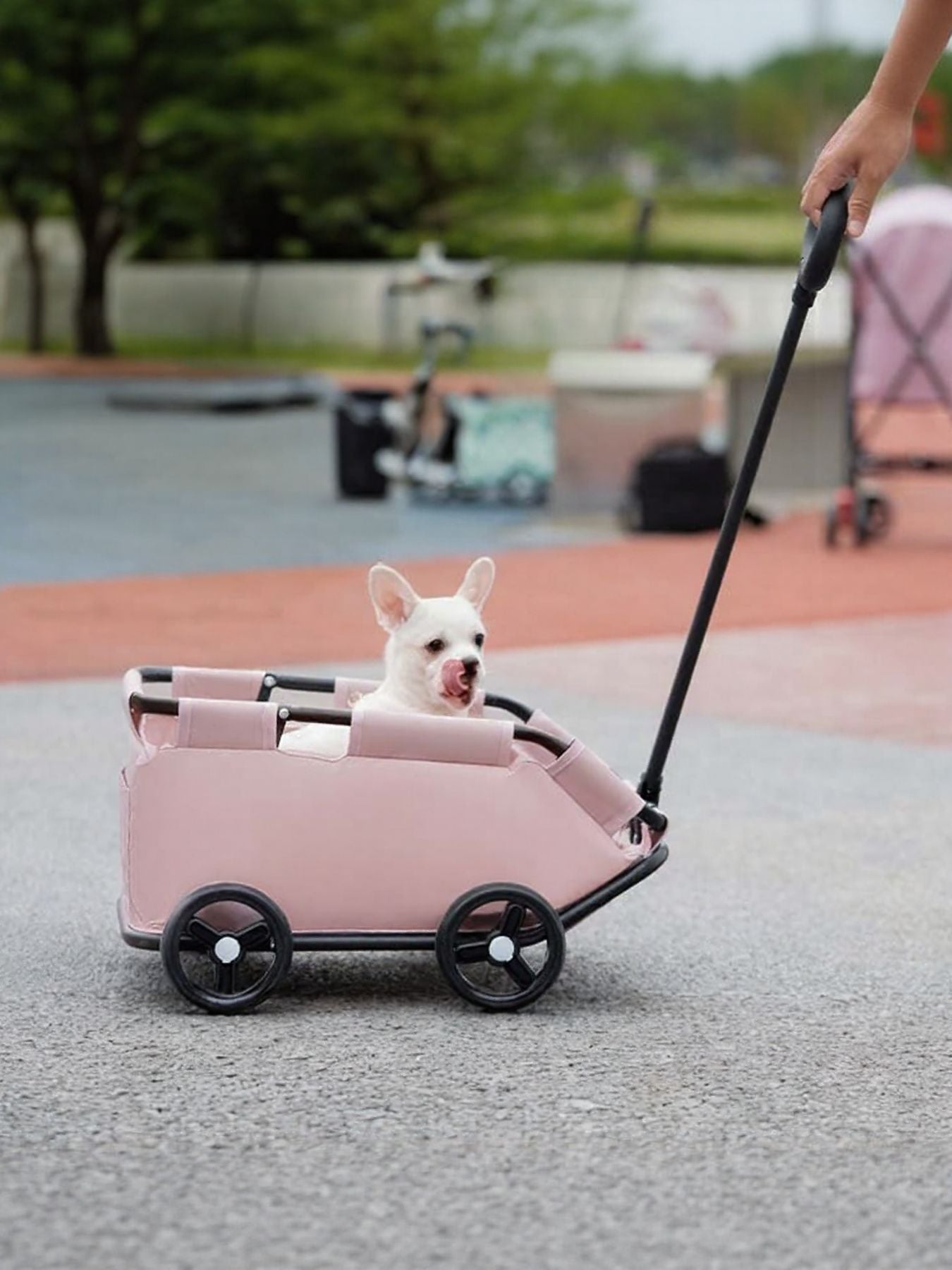 4a117917-8473-4509-9aa1-d02ec5ff0e08-Max