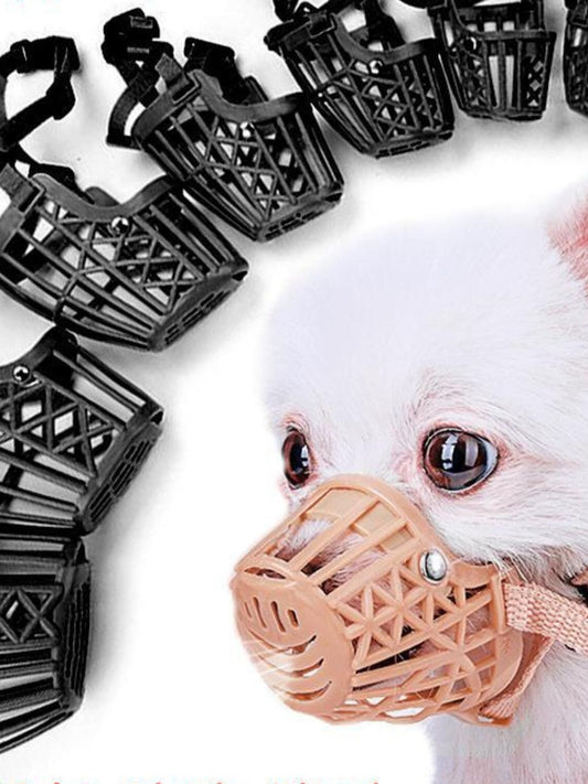 55717dfd-6904-4178-90bd-e75e81a0cd24-Max