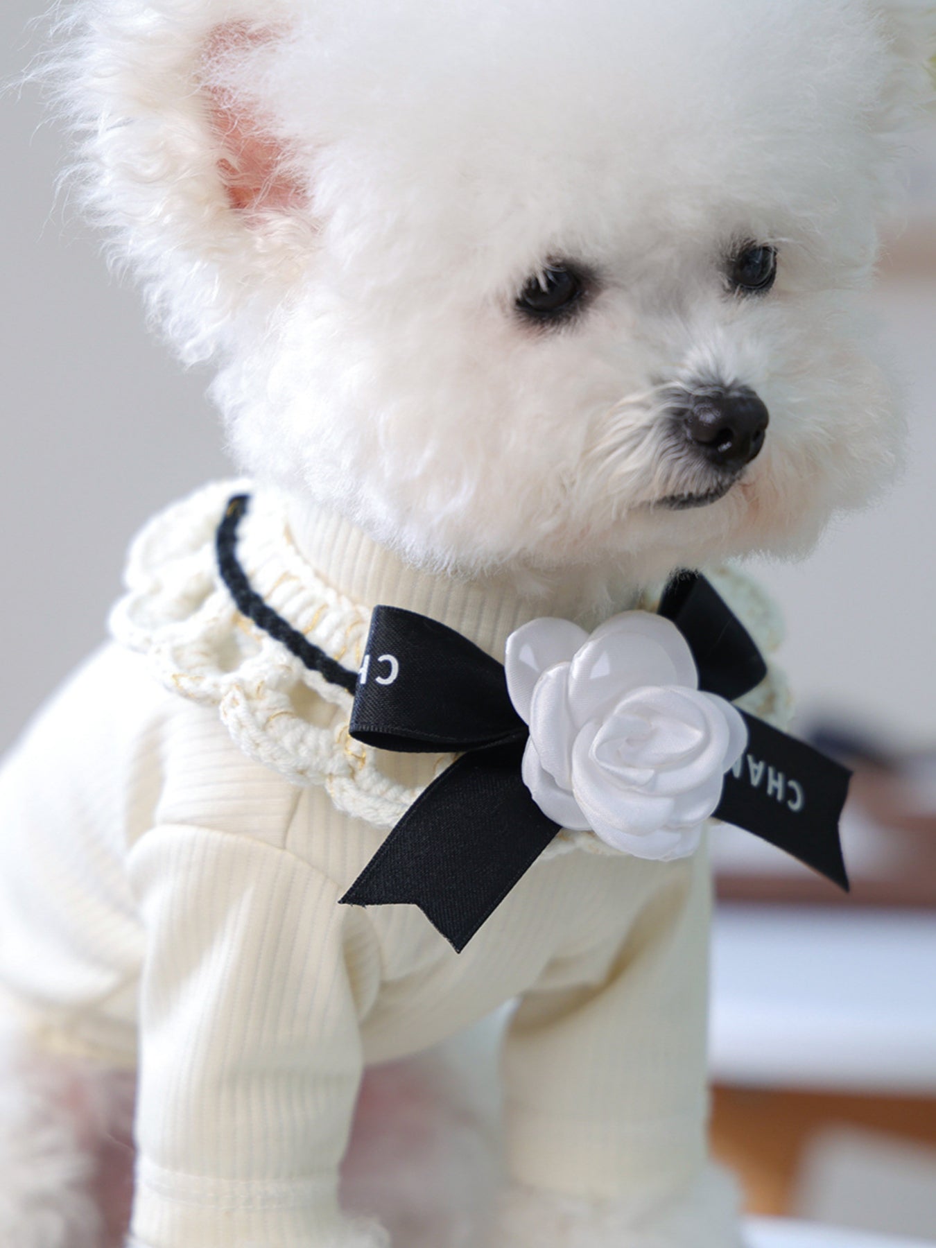 55964b69-ac56-4bf3-81ea-d87caca64b65-Max