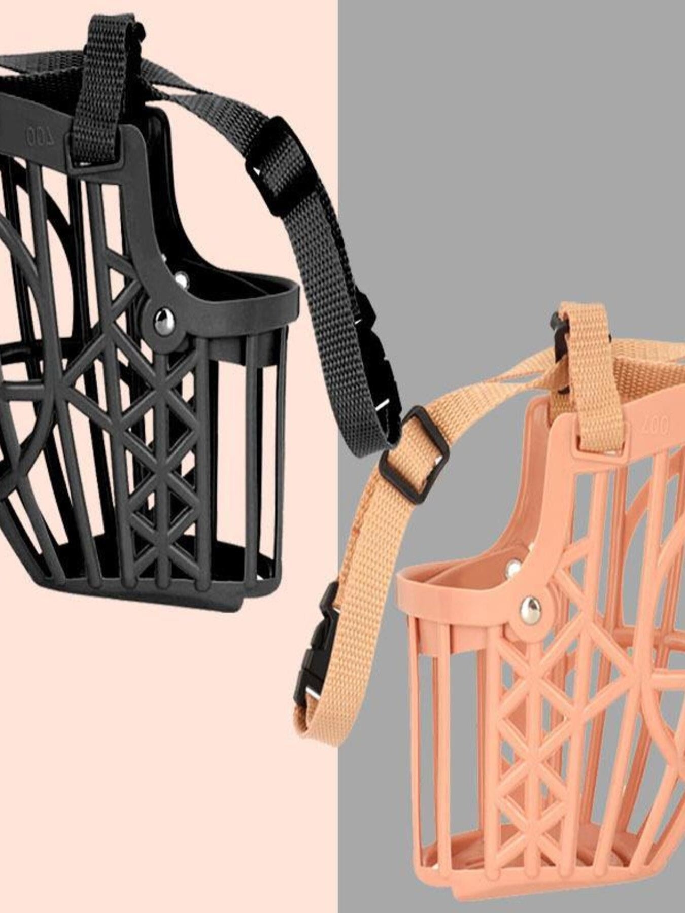 560238c995204adb8dae6def02858227-Max