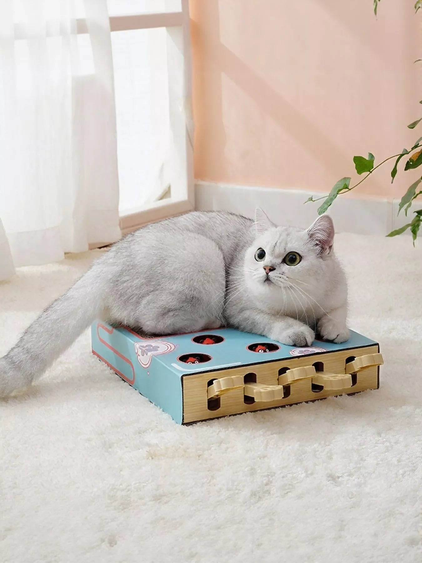 572a9219-3a2d-46e2-9684-6be40cc1364b-Max-Origin