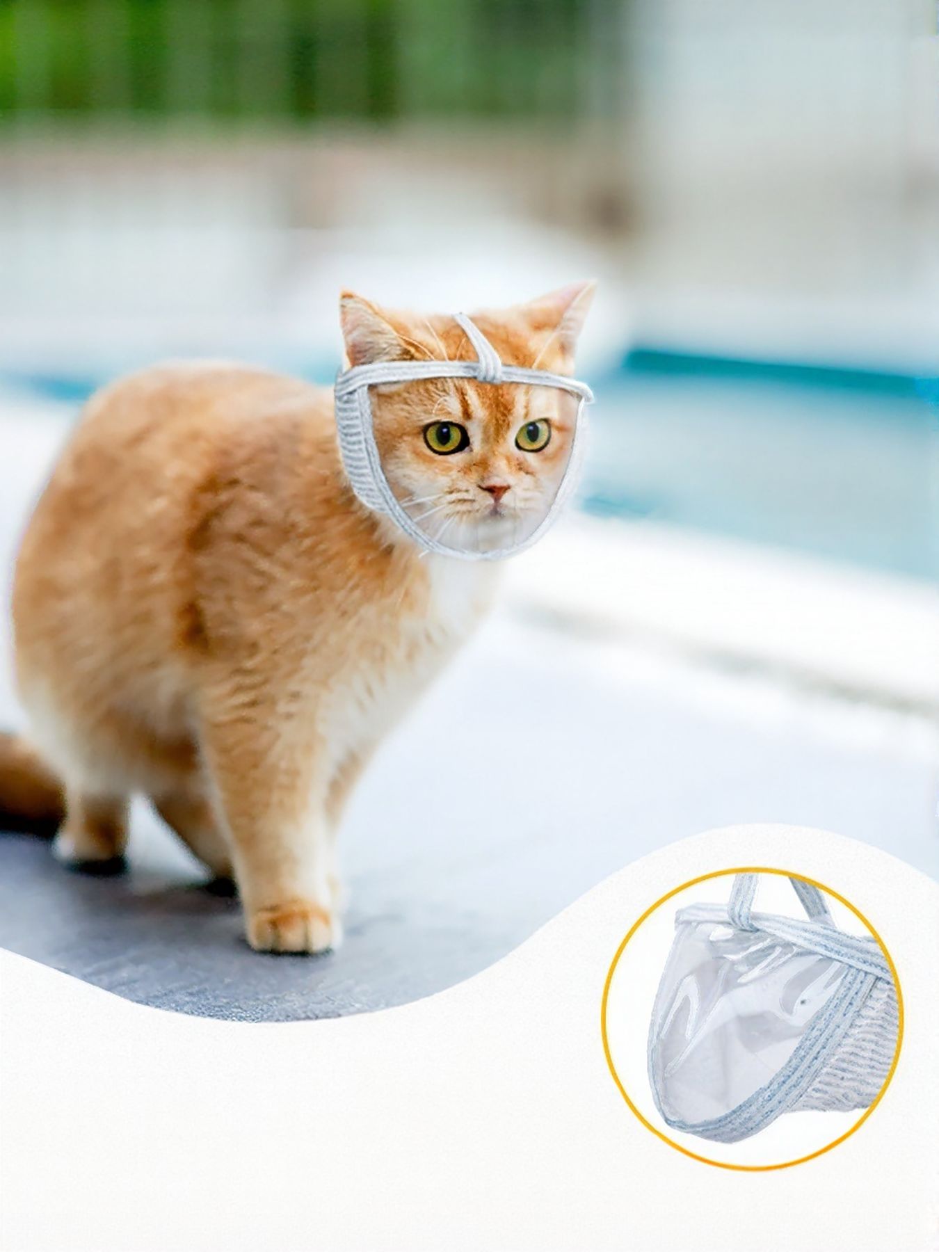 5e124b75-17dd-4f40-8d06-42ddc782f4b9-Max