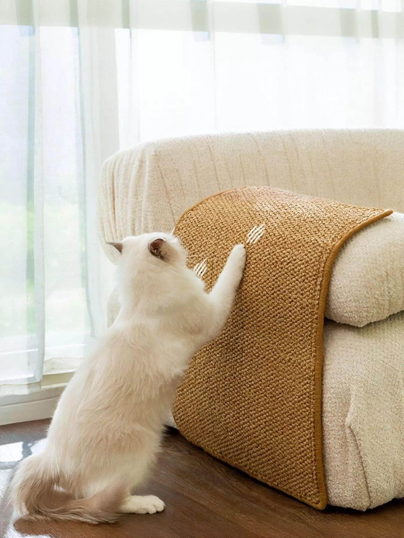 644d1cca-7494-4a1f-a9d5-5eb7e1edd46d-Max-Origin