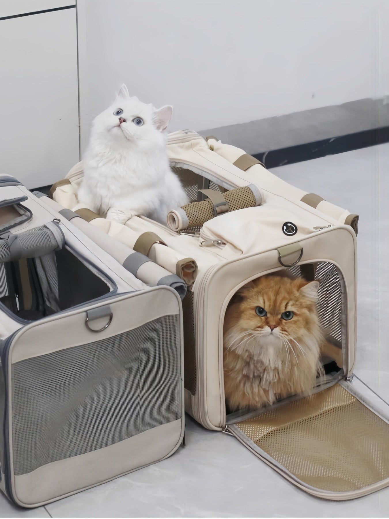 6969533177dc49b3a86af1ebb231e737-Max