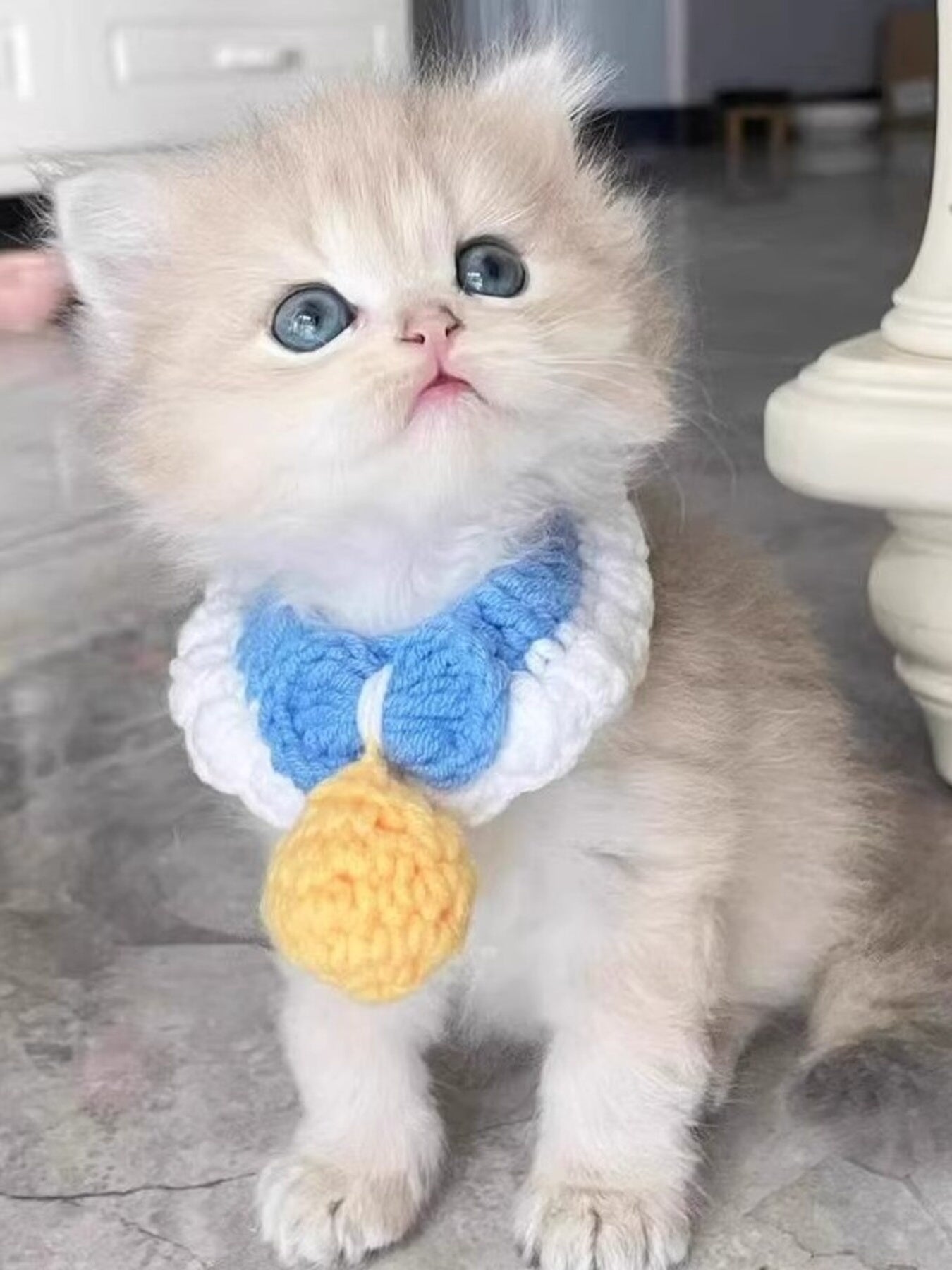 6a2e794cf7ec4c18ba2a52f75b60d647-Max